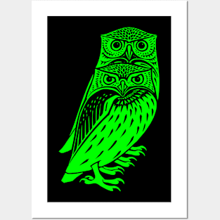 2 owls Posters and Art